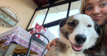 joane pet sitter à CUGNAUX 31270_1