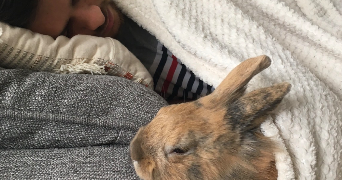 maxence pet sitter à MONTPELLIER 34080_2