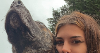 hallidays  pet sitter à BELLEVILLE SUR LOIRE 18240_9