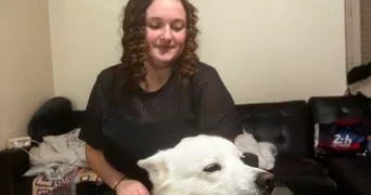 kimberley pet sitter à LA BAZOGE 72650