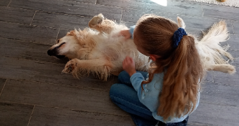 elodie pet sitter à VILLENAVE D ORNON 33140_1