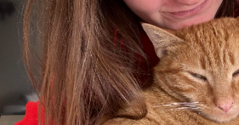 victoria pet sitter à QUESTEMBERT 56230_0