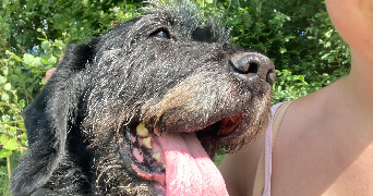 mathilde pet sitter à NANCY 54000_5