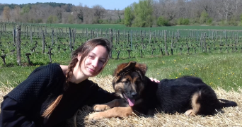 johanna pet sitter à BLAGNAC 31700_0