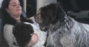 julie pet sitter à ALFORTVILLE 94140_2
