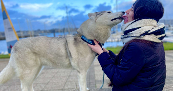 enora pet sitter à BREST 29200_6