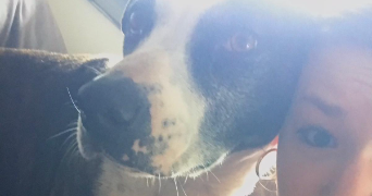 cloé pet sitter à NANTES 44300_2