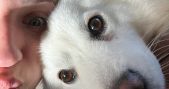 mathilde pet sitter à NICE 06300_3