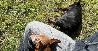 nina pet sitter à BALLAINVILLIERS 91160_3