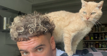 joshua pet sitter à Pessac sur Dordogne 33890_3