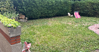 corinne pet sitter à VITRY SUR SEINE 94400_4