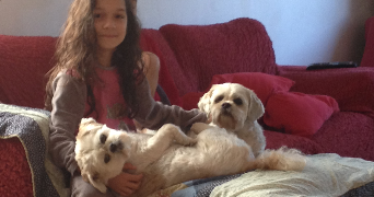 sarah pet sitter à TOULOUSE 31400_4