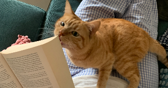 maëlys pet sitter à TOULOUSE 31200_1