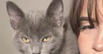 cloelia pet sitter à SANCHEY 88390