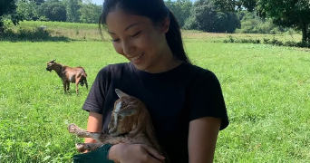 diana pet sitter à Villeurbanne 69100_0