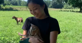 diana pet sitter à Villeurbanne 69100