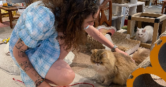 solène pet sitter à FRANCHEVILLE 69340_1