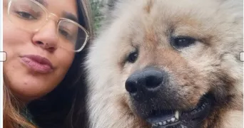 izza pet sitter à LEUVILLE SUR ORGE 91310
