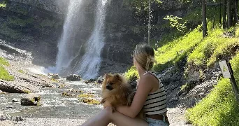 noemie pet sitter à VIEIL HESDIN 62770
