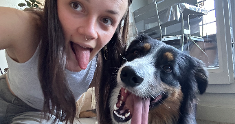 sacha pet sitter à TOULOUSE 31300_1
