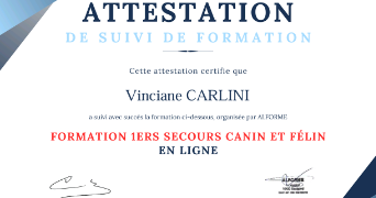 vinciane pet sitter à TOULON 83000_4