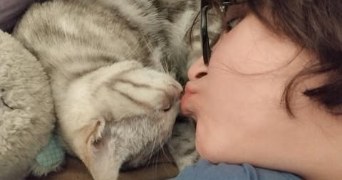 ines pet sitter à LILLEBONNE 76170_1