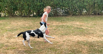 christelle pet sitter à SANTES 59211_3