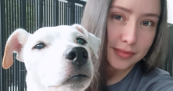 heidi pet sitter à CHEVILLY LARUE 94550_1