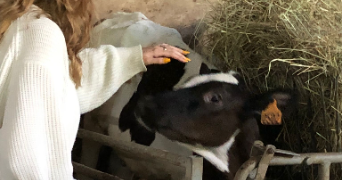 eurydice pet sitter à TOURS 37000_3