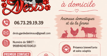 elodie pet sitter à BANNALEC 29380_1