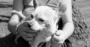 sophie pet sitter à LILLE 59160_2