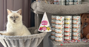 raisa pet sitter à SEVRAN 93270_5