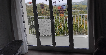 harmony pet sitter à ARGENTEUIL 95100_9