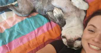 elsa pet sitter à CHALIGNY 54230_1