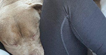 maëlys pet sitter à BLAMONT 25310_5