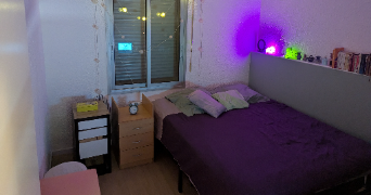 guerreiro viseu pet sitter à NIMES 30000_7