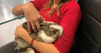 audrey pet sitter à LETRICOURT 54610_5