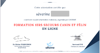 séverine pet sitter à PONCHON 60430_9