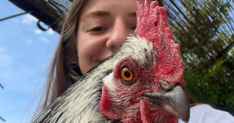 camille pet sitter à CHATEAUNEUF GRASSE 06740_4