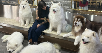 léa pet sitter à VAL DE BRIEY 54150_1