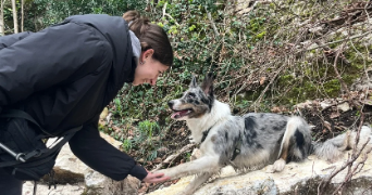 jade pet sitter à EYBENS 38320_0