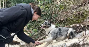 jade pet sitter à EYBENS 38320