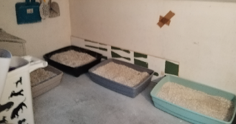 renquin  pet sitter à BEUGNIES 59216_9