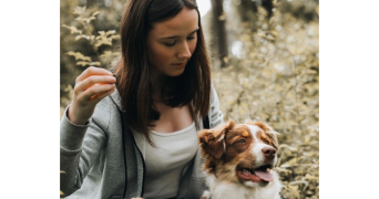 julie pet sitter à URRUGNE 64122_0