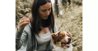 julie pet sitter à URRUGNE 64122