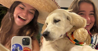 josephine pet sitter à LILLE 59000_0