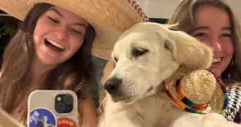 josephine pet sitter à LILLE 59000