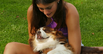 maï lê pet sitter à CARBONNE 31390_1
