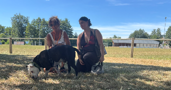 maelys pet sitter à MONTCEAU LES MINES 71300_0
