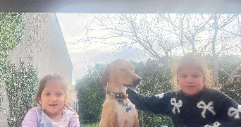 laure pet sitter à CASTELCULIER 47240